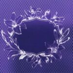 SDCMS017-2