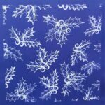 SDCMS020-1