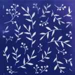 SDCMS020-2